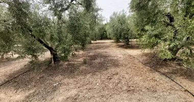 Plot of land in Psakoudia, Greece