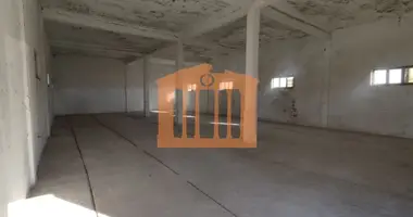 Producción 260 m² en Bashkia Durres, Albania