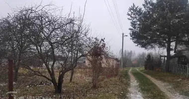 Parcela en Fanipalski sielski Saviet, Belarús