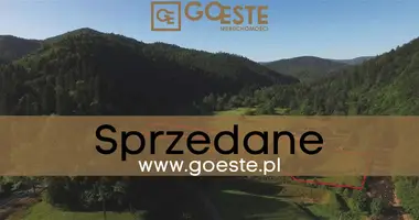 Działka w Smolice, Polska