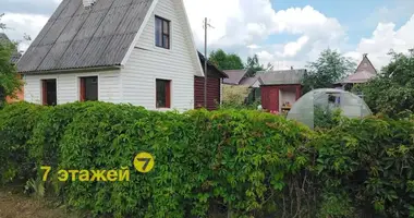 Haus in Nieharelski sielski Saviet, Belarus