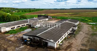 Commercial property 4 625 m² in Klopickoe selskoe poselenie, Russia