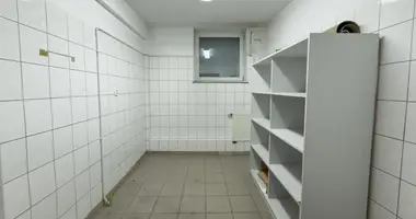 Geschäft 1 727 m² in Wirsitz, Polen
