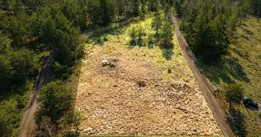 Terrain dans Alytus, Lituanie