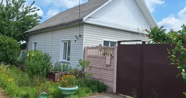 House in Babovicy, Belarus