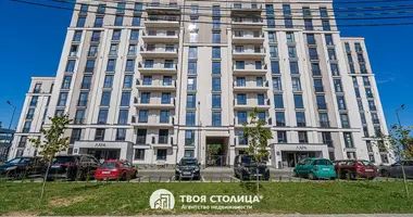 3 bedroom apartment in Minsk, Belarus