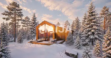 Cottage in Kemijarvi, Finland