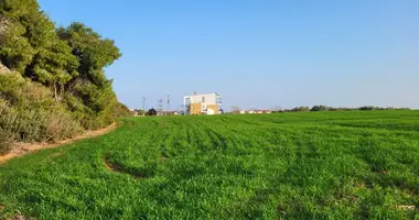 Plot of land in Kassandra Municipality, Greece