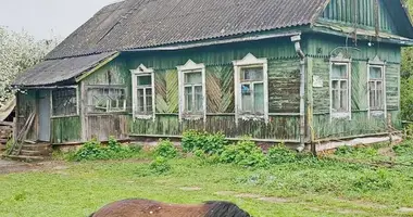 Дом в Михановичи, Беларусь