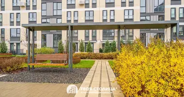 Квартира 3 комнаты в Копище, Беларусь