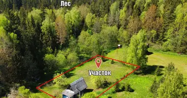Parcela en Bialarucki sielski Saviet, Belarús