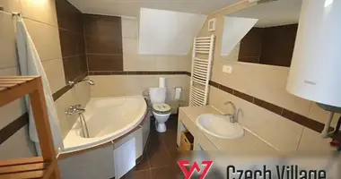 Apartamento 3 habitaciones en Melnik, Chequia