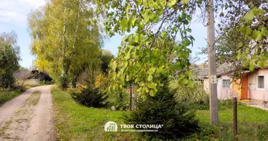 House in Dorski sielski Saviet, Belarus
