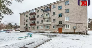 2 room apartment in Navakolasava, Belarus