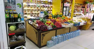 Gewerbefläche 24 m² in Minsk, Belarus