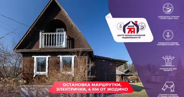 House in Zodzinski sielski Saviet, Belarus