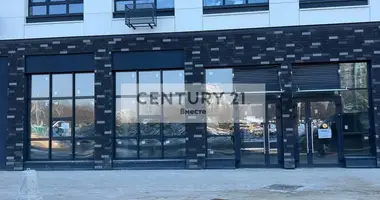 Propiedad comercial 60 m² en Moscú, Rusia
