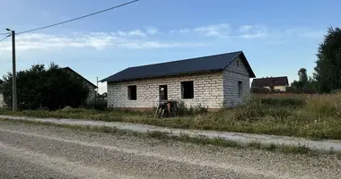 House in Babinicki sielski Saviet, Belarus