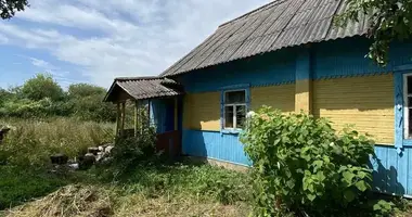 House in Zadrouje, Belarus
