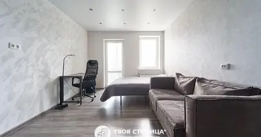 1 bedroom apartment in Minsk, Belarus