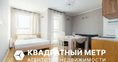 Wohnung 1 zimmer in Minsk, Belarus