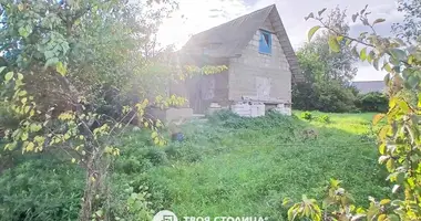 House in Dziamidavicki sielski Saviet, Belarus