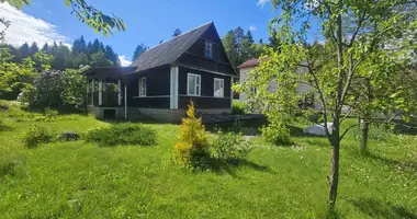 House in Haranski sielski Saviet, Belarus