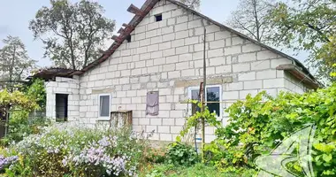 Haus in Lieninski, Belarus