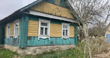House in Rakauski sielski Saviet, Belarus