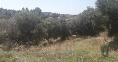 Terrain dans Nikiti, Grèce