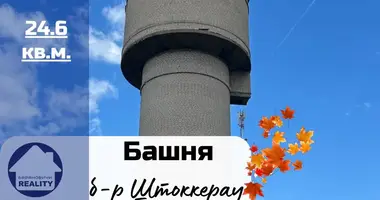 Commercial property 25 m² in Baranavichy, Belarus