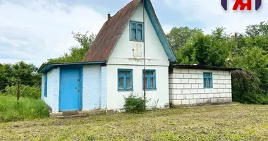 Haus in Racenski sielski Saviet, Belarus