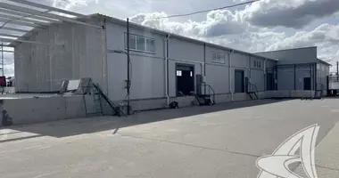 Almacén 545 m² en Brest, Belarús