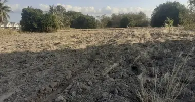 Terrain dans Huai Yai, Thaïlande