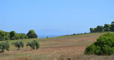 Terrain dans Kassandra Municipality, Grèce