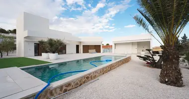 Villa 4 bedrooms in Rojales, Spain