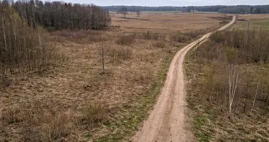 Działka w Buzgany, Litwa