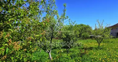 Plot of land in Solnechnogorsky District, Russia