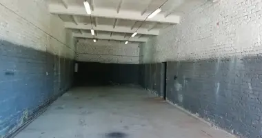 Производство 70 м² в Дещенский сельский Совет, Беларусь