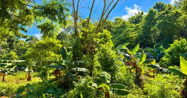 Parcela en Las Terrenas, República Dominicana