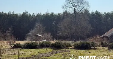 House in Vavierski sielski Saviet, Belarus