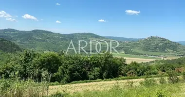 Terrain dans Motovun, Croatie