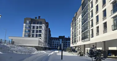 3 room apartment in Minsk, Belarus