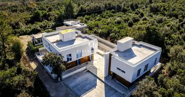 3 bedroom house in Krimovice, Montenegro