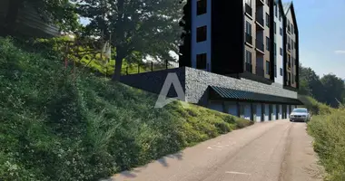 2 bedroom apartment in Kolasin, Montenegro