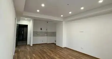 1 bedroom apartment in Tbilisi, Georgia