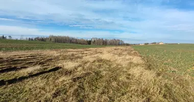 Plot of land in Prauliai, Lithuania
