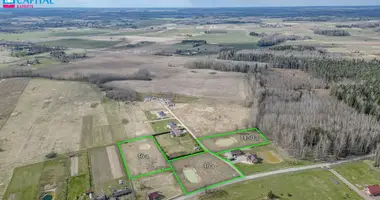 Plot of land in Dailidzionys, Lithuania