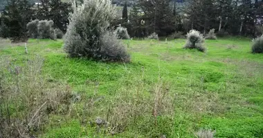 Parcela en Municipality of Heraklion, Grecia