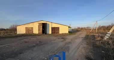 Склад 1 387 м² в Лошанский сельский Совет, Беларусь